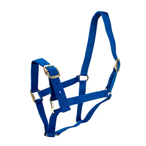 HORSE HALTERS