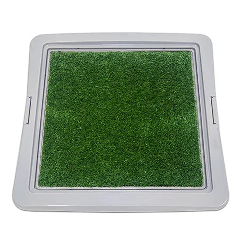 TRAINING PAD HOLDER WITH GRASS