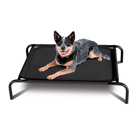 DOG BEDS